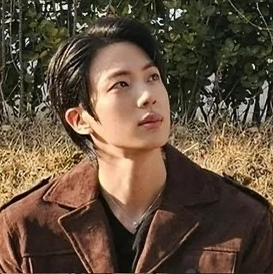 A moment captured by Jin (BTS)'s fan