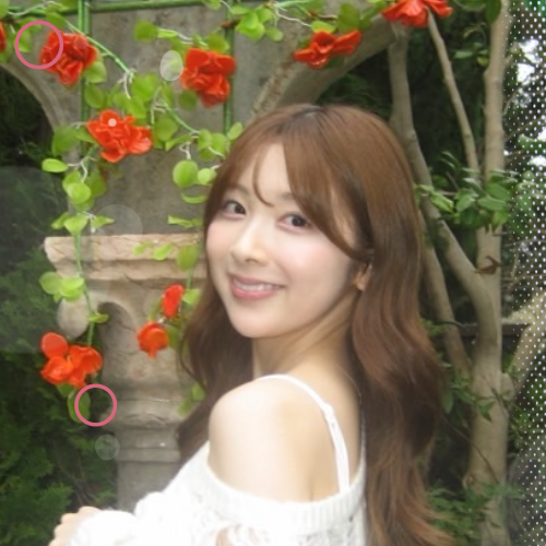 Latest photo of Miihi (NiziU)