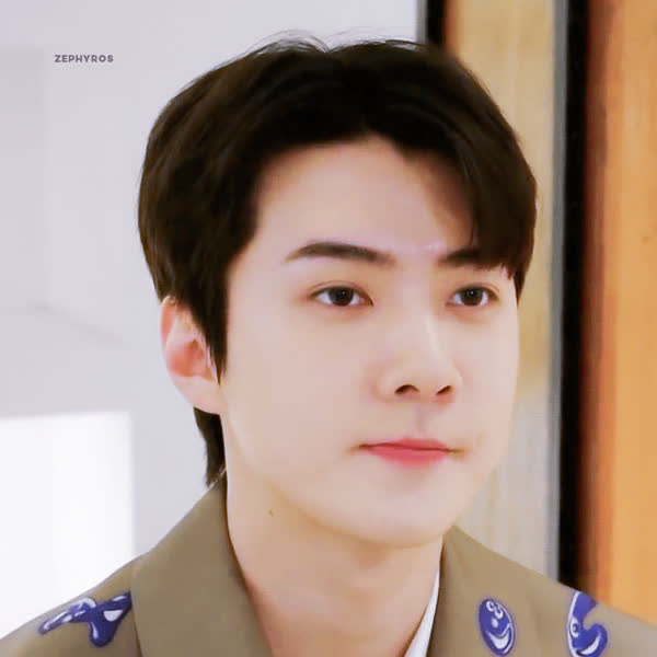 세훈 (EXO) 팬덤이 선택한 최고의 순간