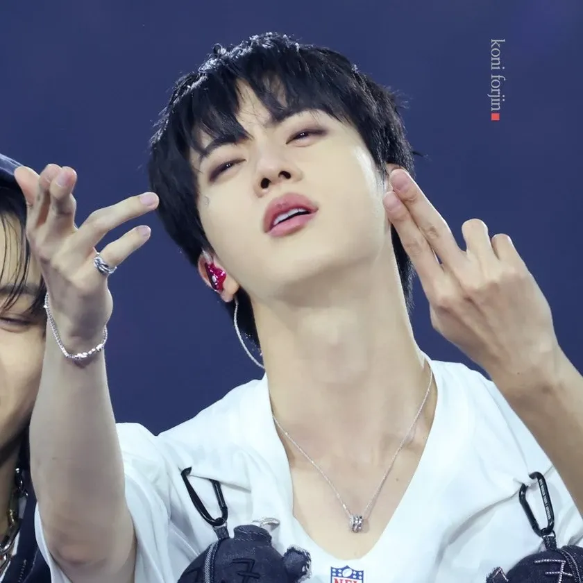 A moment captured by Jin (BTS)'s fan