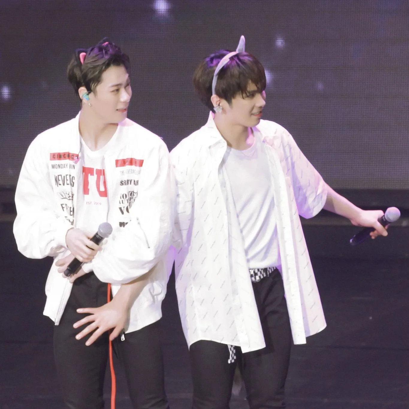 Recent activity shot of Rocky