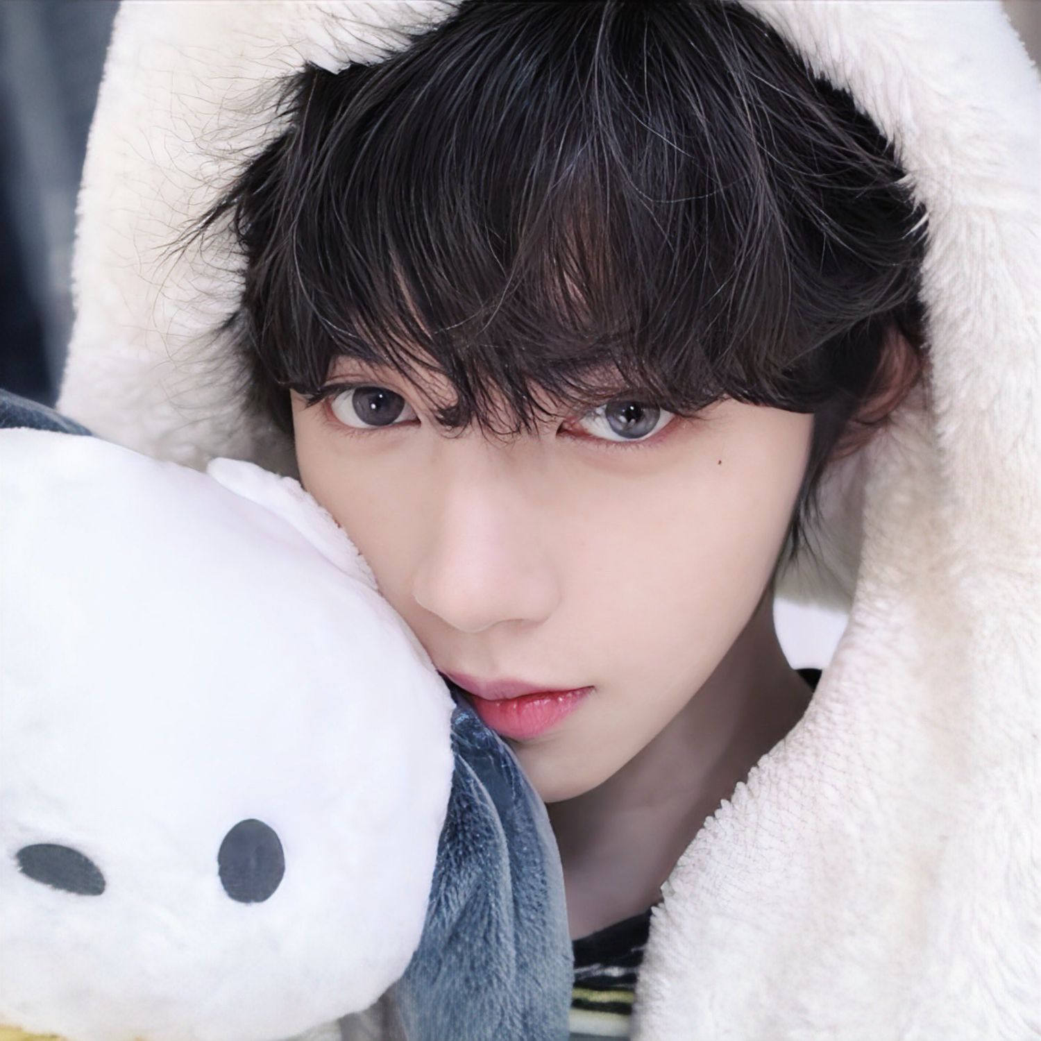 ジェイエル (AHOF)の最近の活動写真