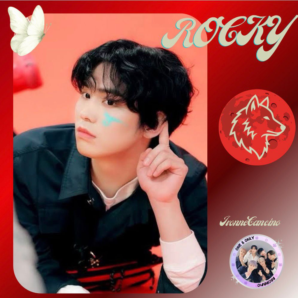 Recent activity shot of Rocky