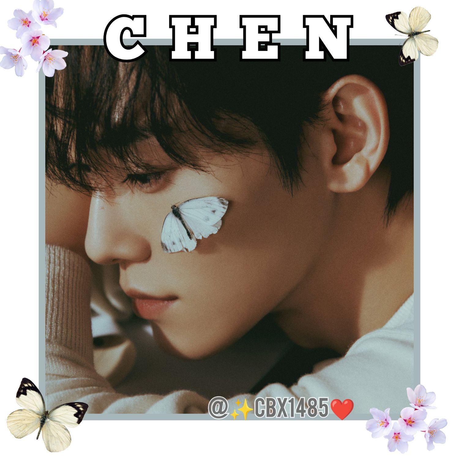 A moment captured by Chen (EXO)'s fan