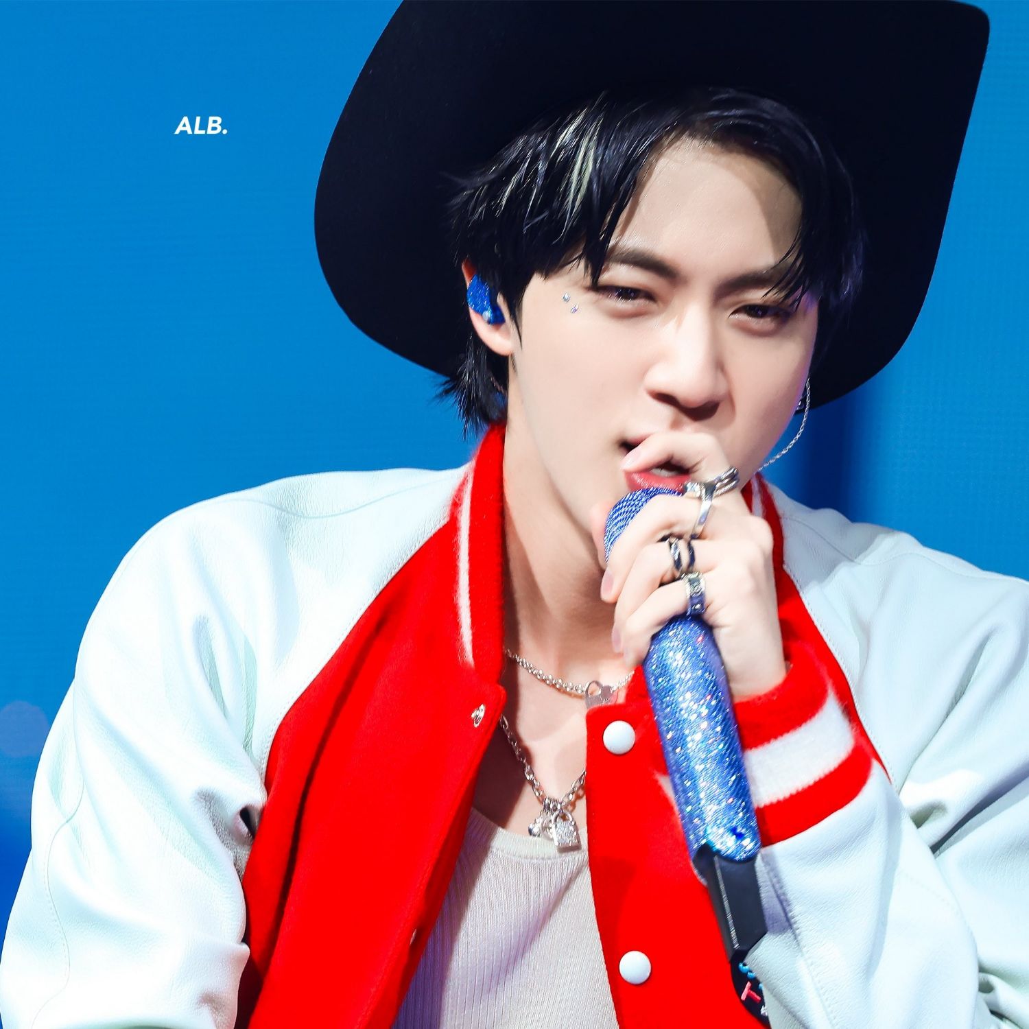 방탄소년단 팬이 찍은 순간