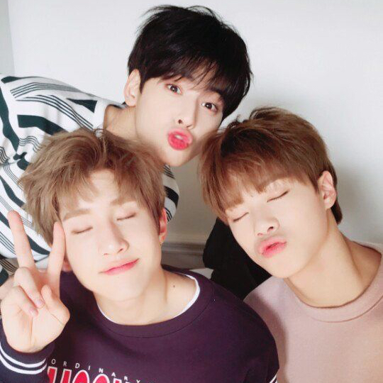 Momen yang diabadikan oleh penggemar ASTRO