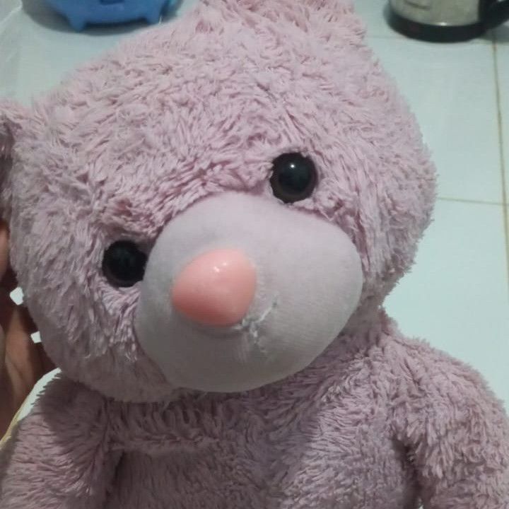 EXO 최근 활동샷