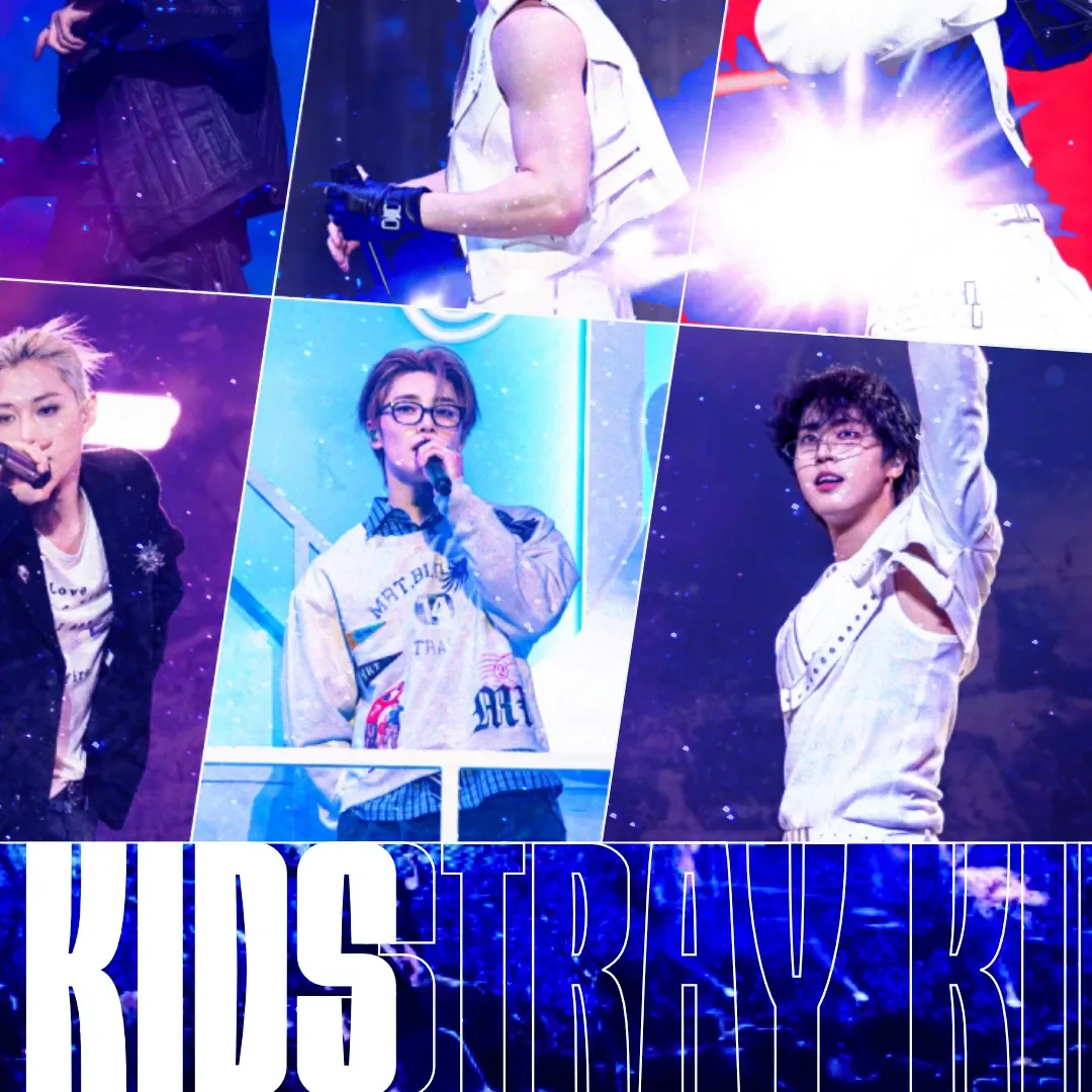 Stray Kids 팬이 찍은 순간