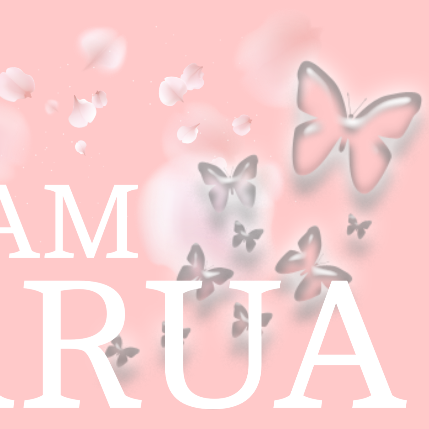 Behind-the-scenes cut of Harua (&TEAM)