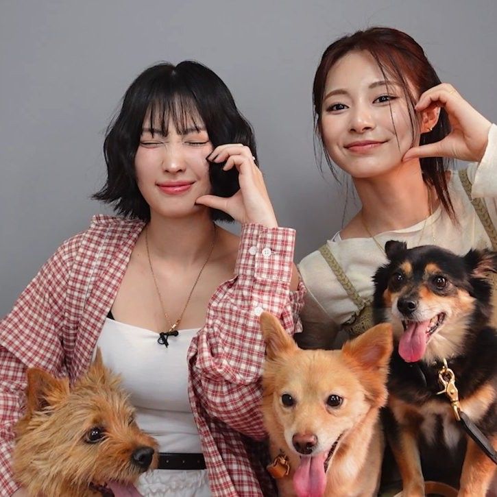 Foto aktivitas terbaru Momo (TWICE)
