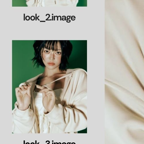 A moment captured by AleXa's fan