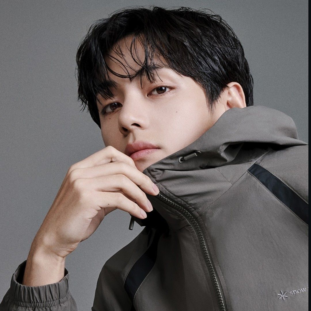 뷔 (방탄소년단) 팬이 찍은 순간