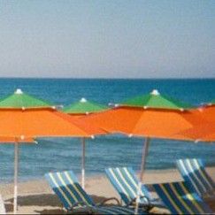 Latest photo of Board