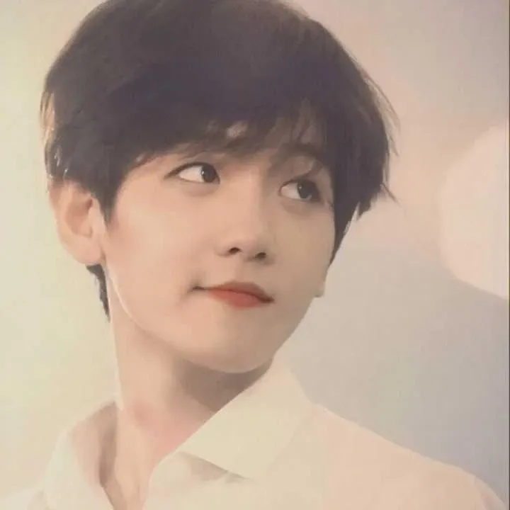 伯賢 (EXO)的最新照片