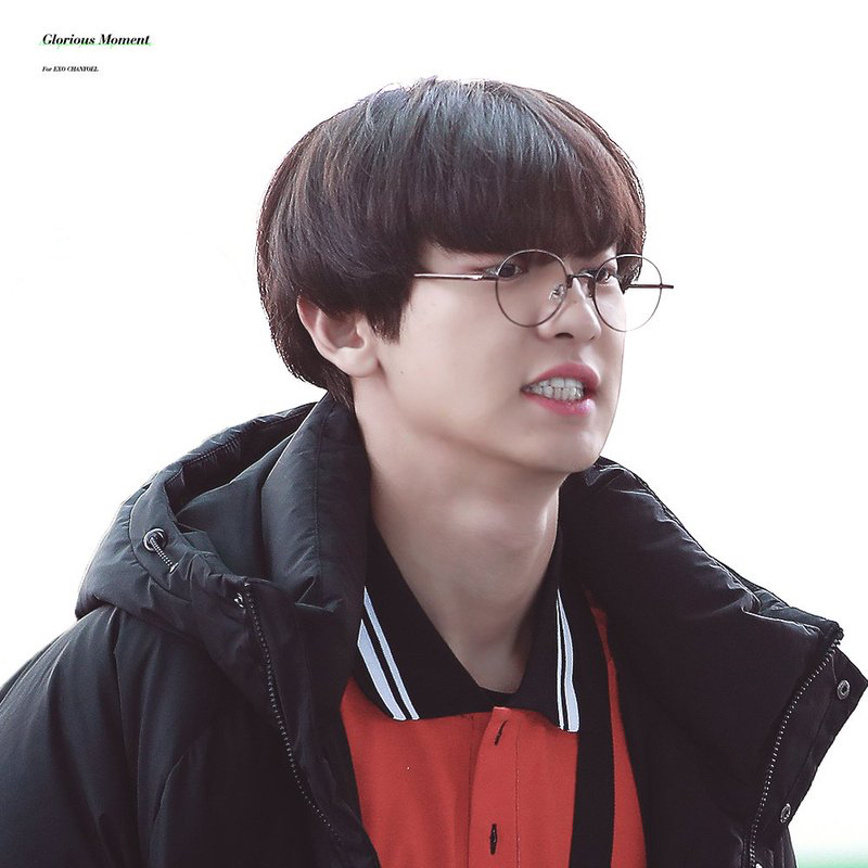 찬열 (EXO) 최근 활동샷