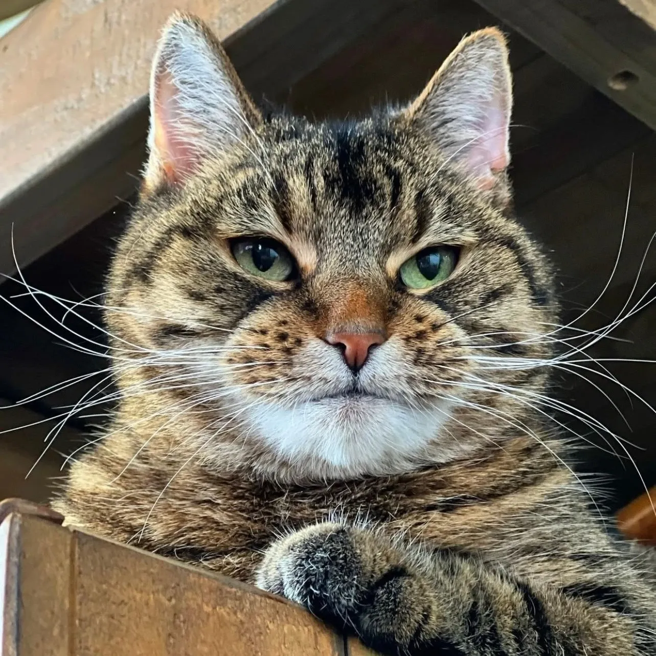 Recent activity shot of Stray Kids