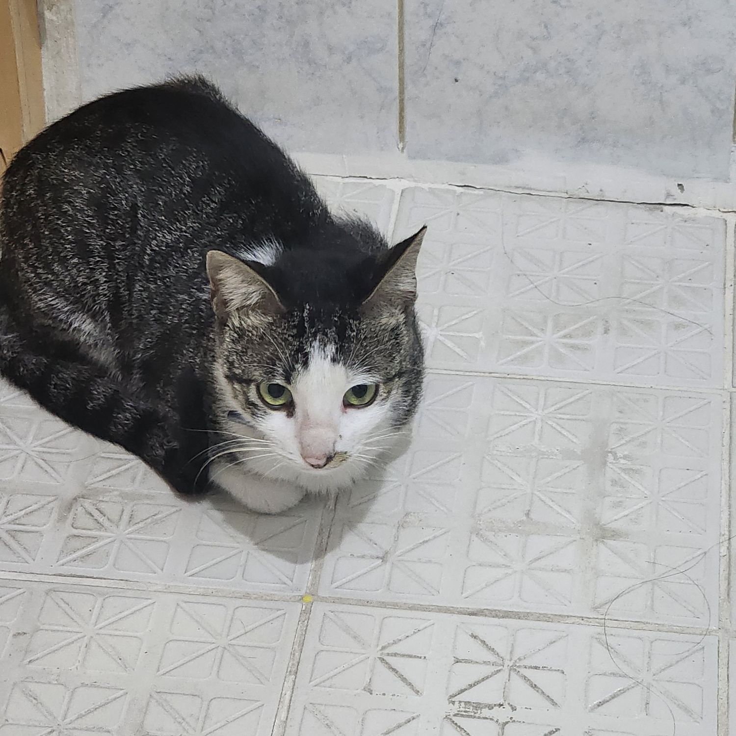 Foto aktivitas terbaru SEVENTEEN