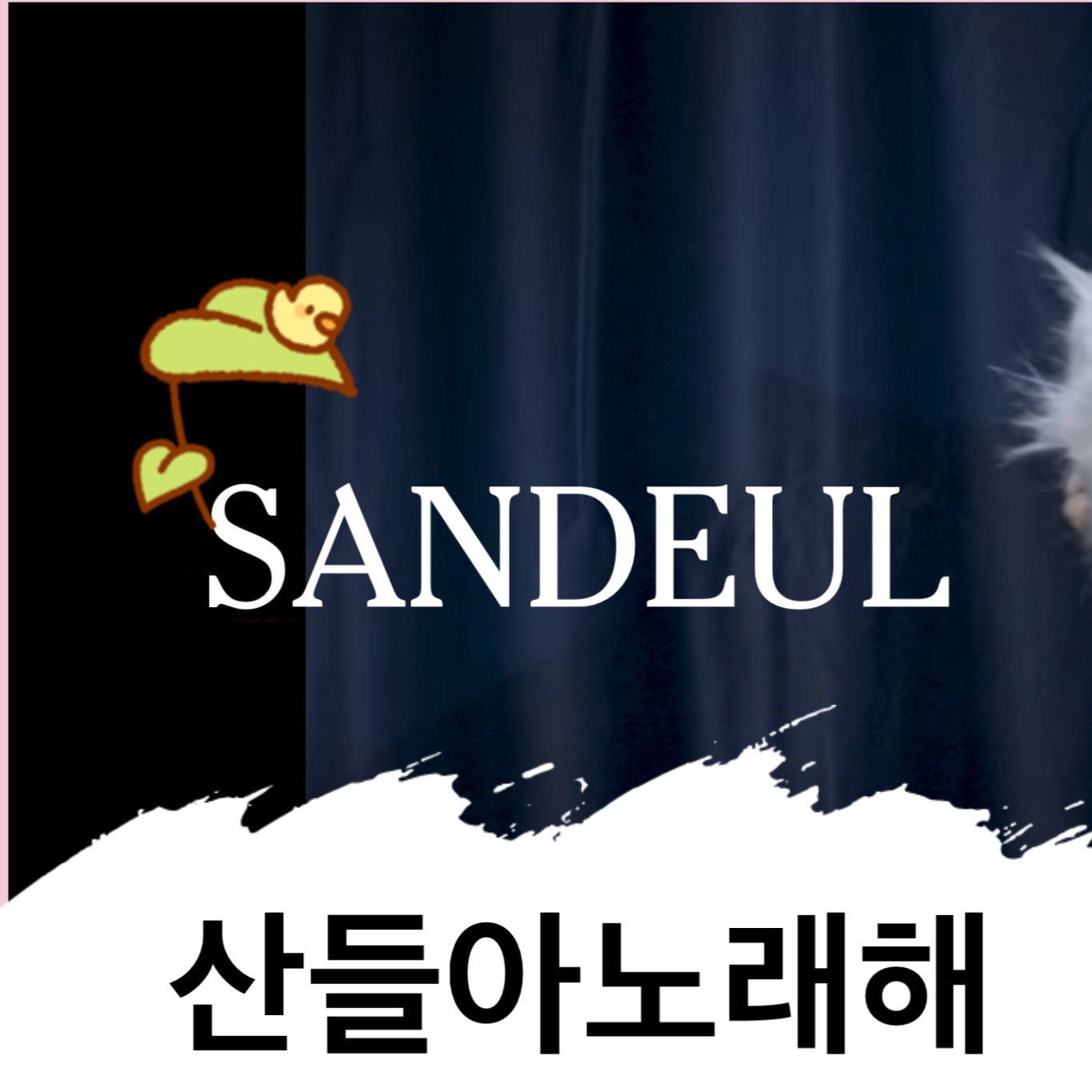 Behind-the-scenes cut of Sandeul (B1A4)