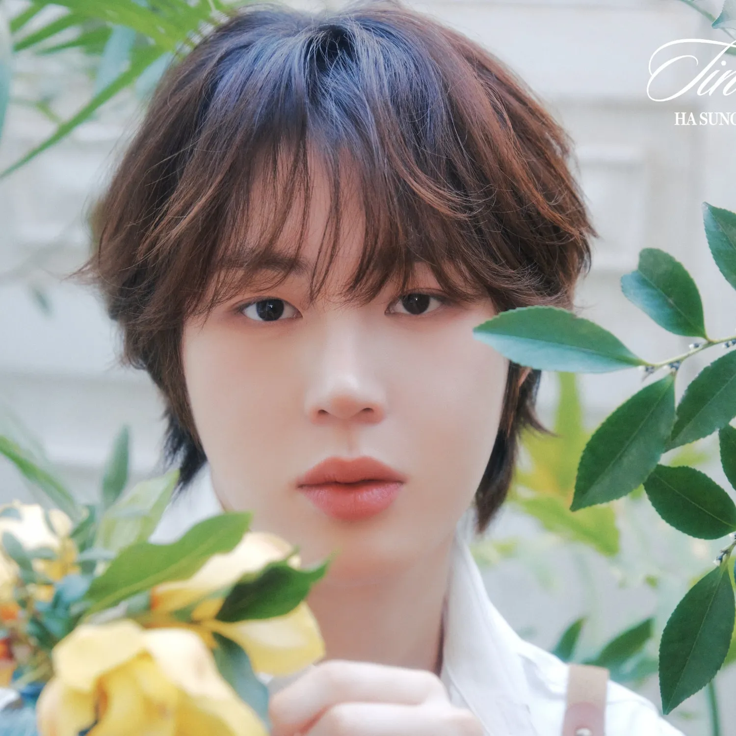 Recent activity shot of Ha Sungwoon
