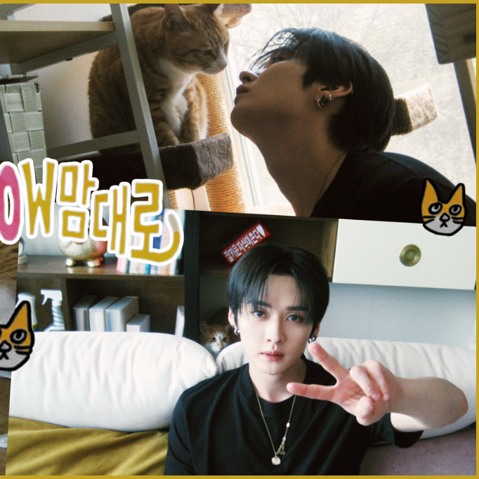 Latest photo of Lee Know (Stray Kids)