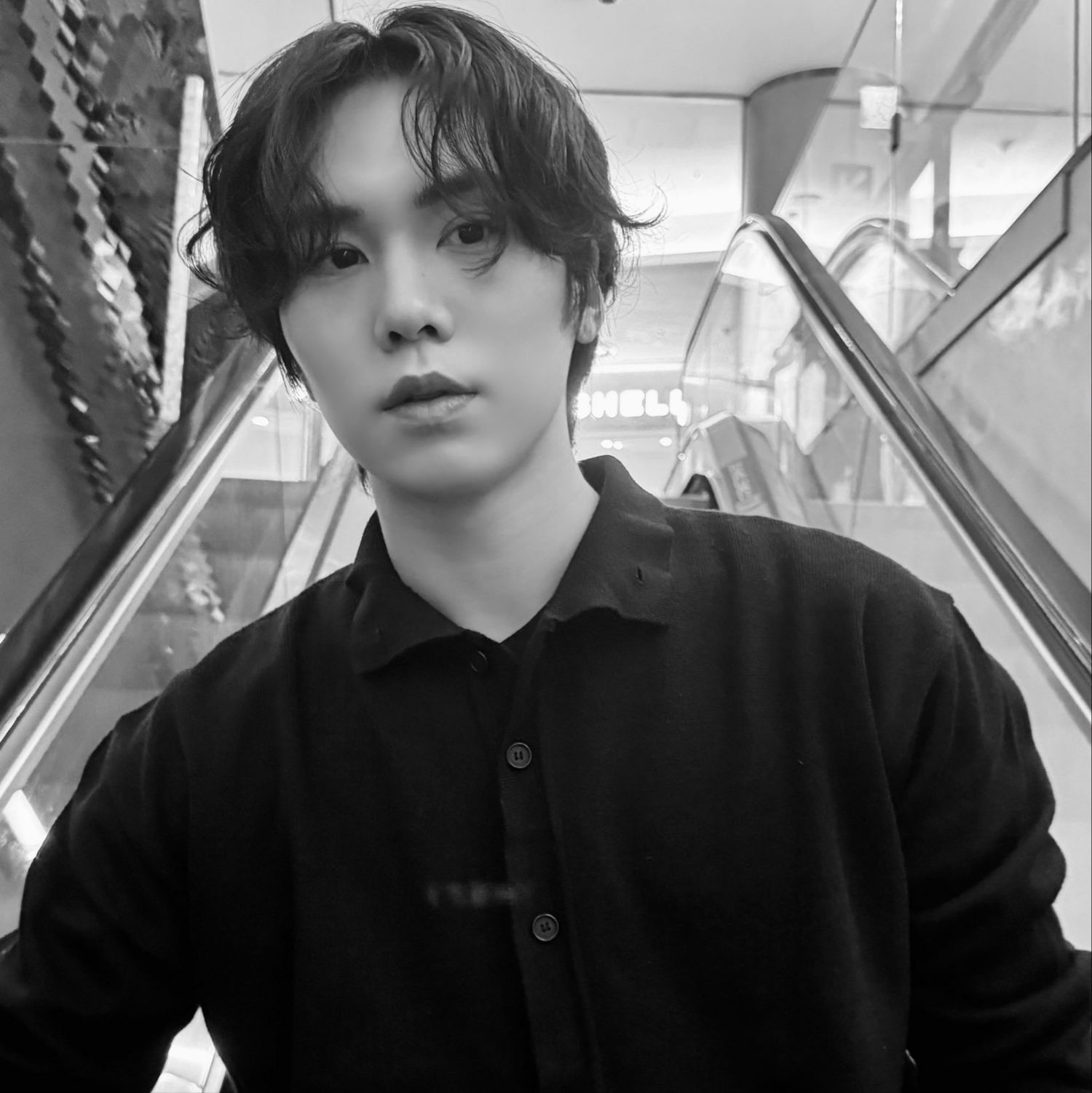 Latest photo of Rocky