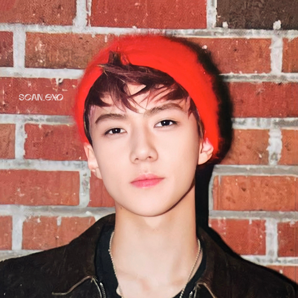 세훈 (EXO) 팬이 찍은 순간