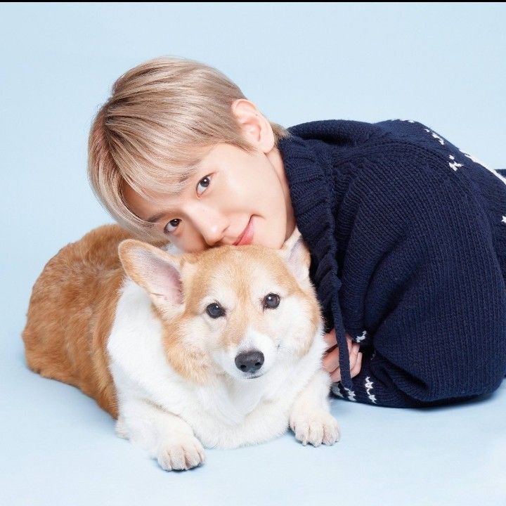 EXO 최근 활동샷