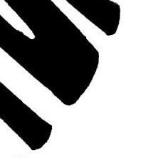 伯賢 (EXO)粉絲拍下的瞬間