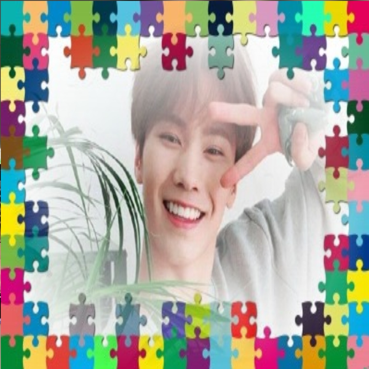 Recent activity shot of Rocky