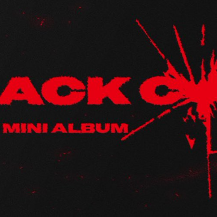 A moment captured by Kep1er's fan