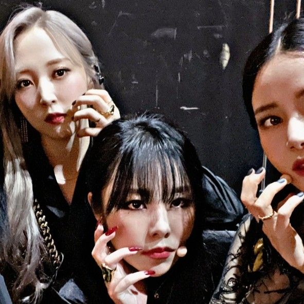 마마무 팬이 찍은 순간