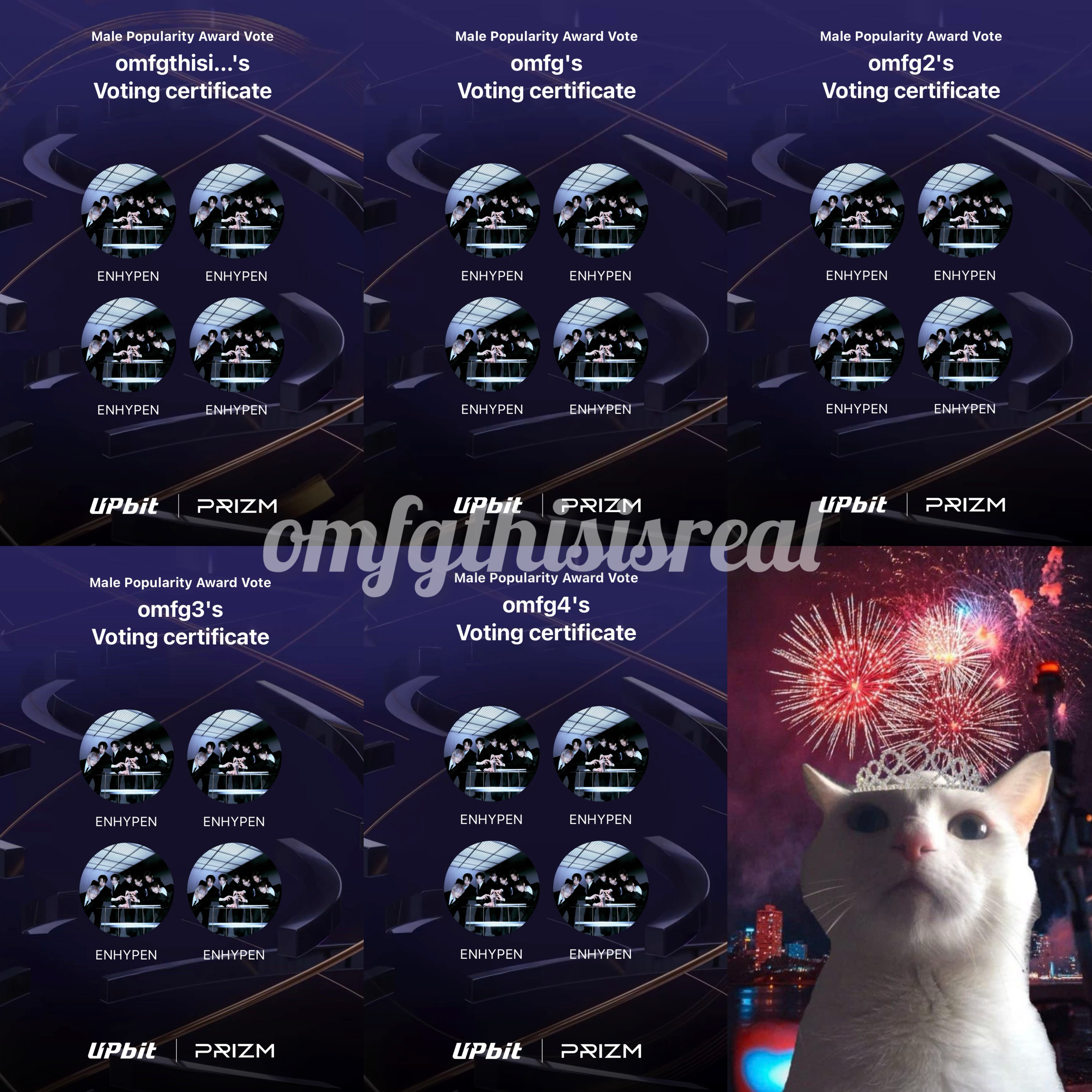 ENHYPEN 최근 활동샷