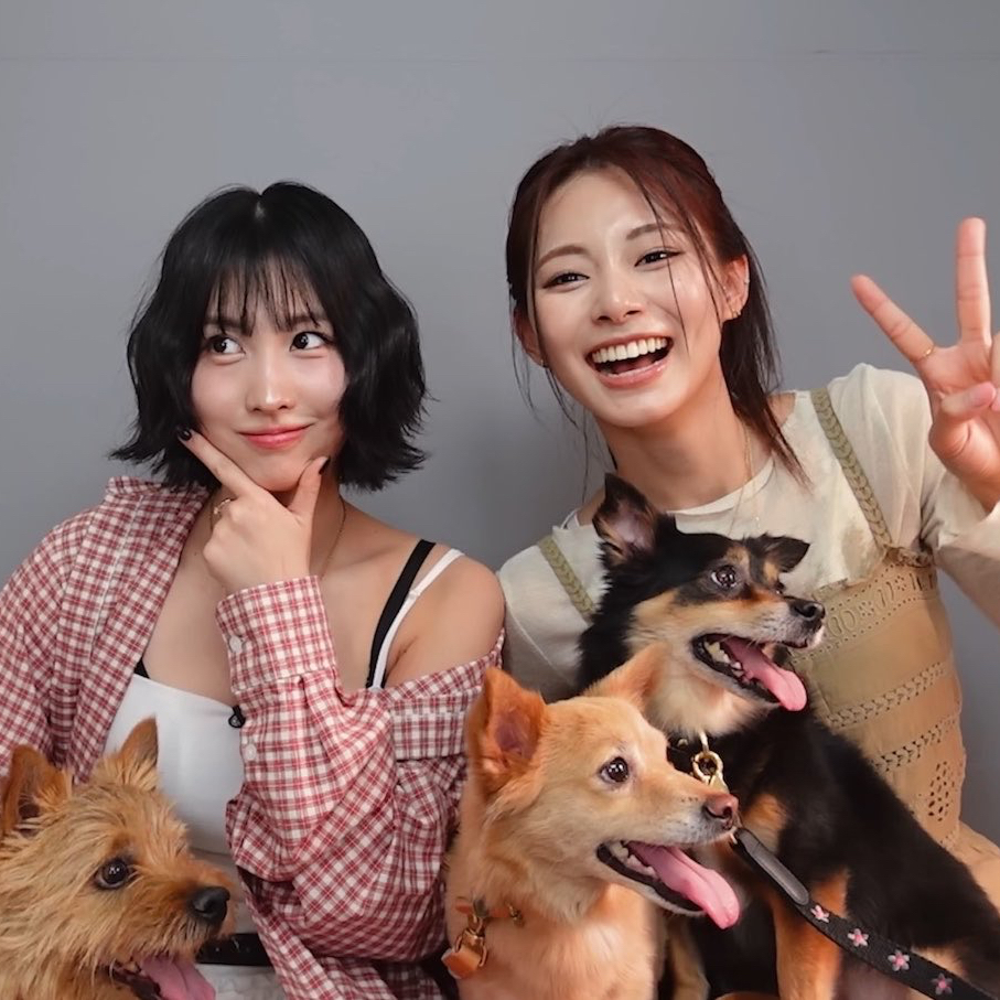 Momen yang diabadikan oleh penggemar Momo (TWICE)