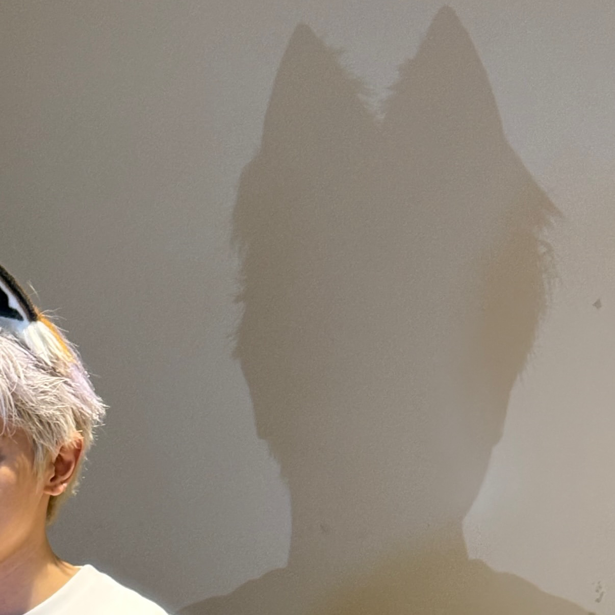 泰容 (NCT 127)的最新照片