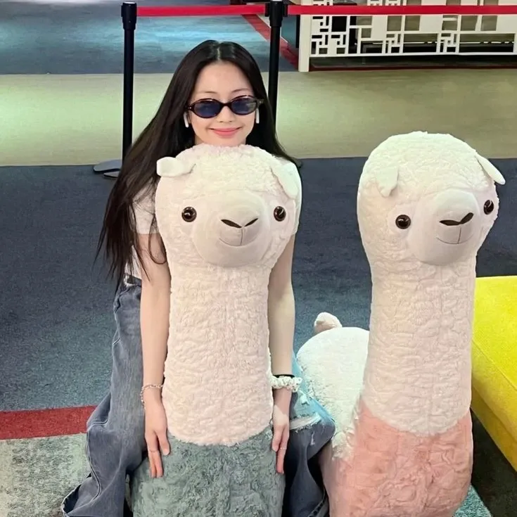 A moment captured by Ruka (BABYMONSTER)'s fan