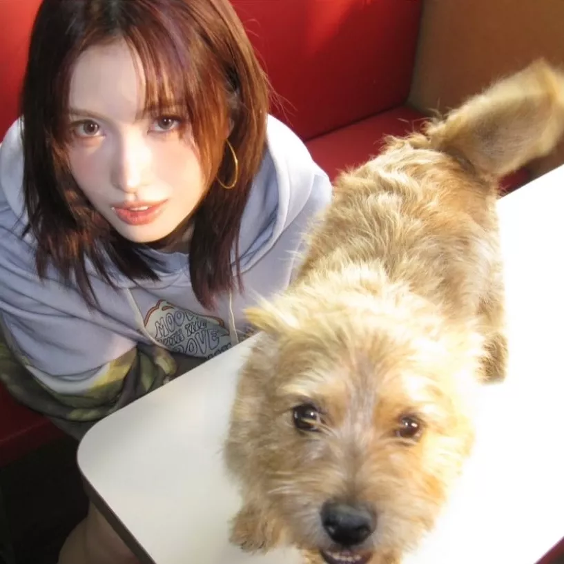 Momo (TWICE)粉絲拍下的瞬間