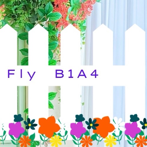 Behind-the-scenes cut of B1A4