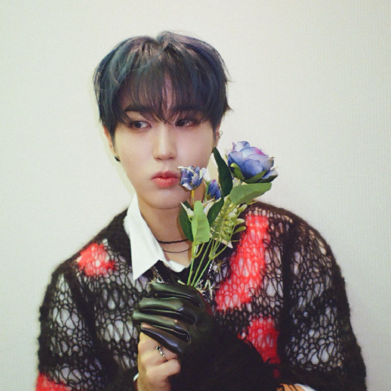 A moment captured by HAN (Stray Kids)'s fan