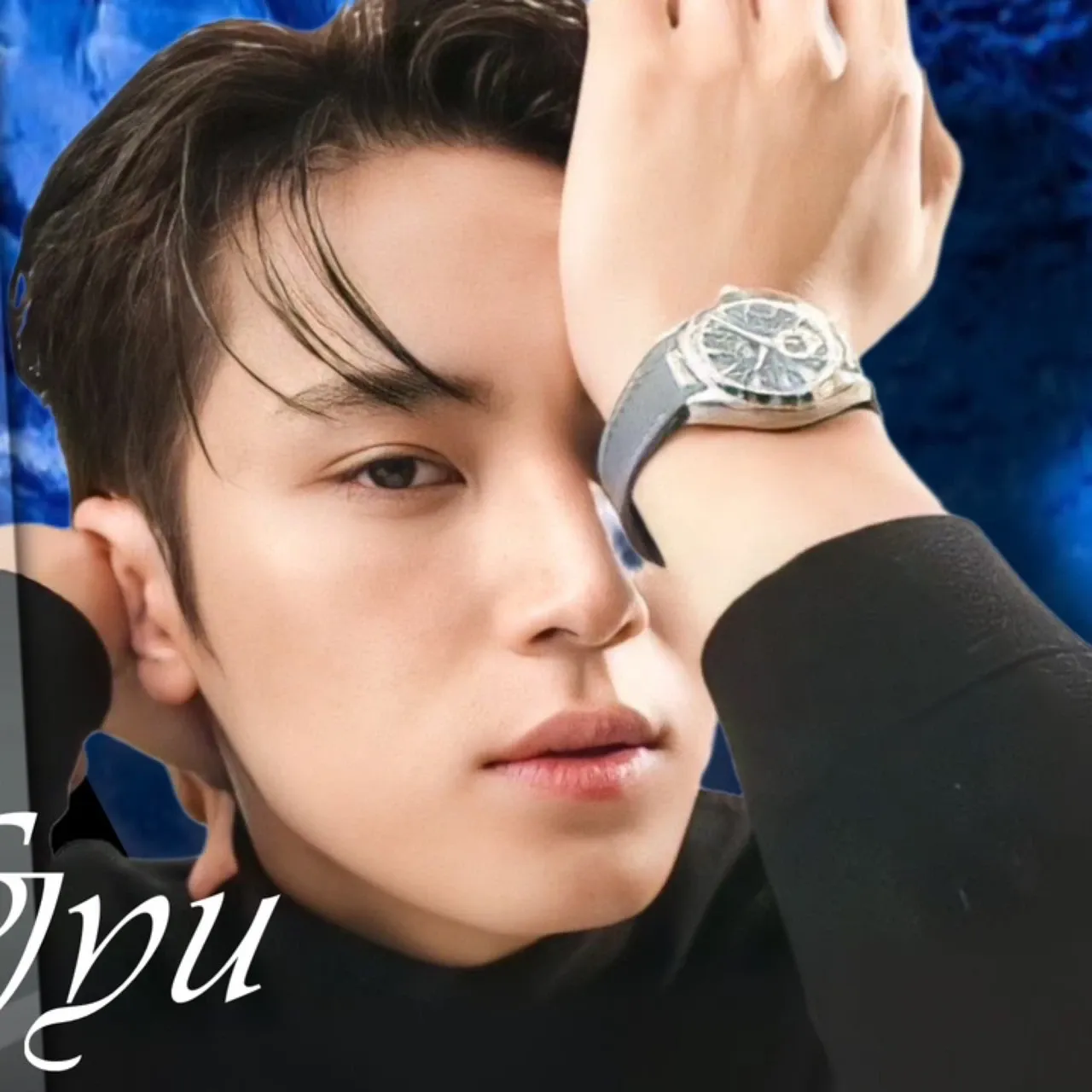 A moment captured by Mingyu (SEVENTEEN)'s fan