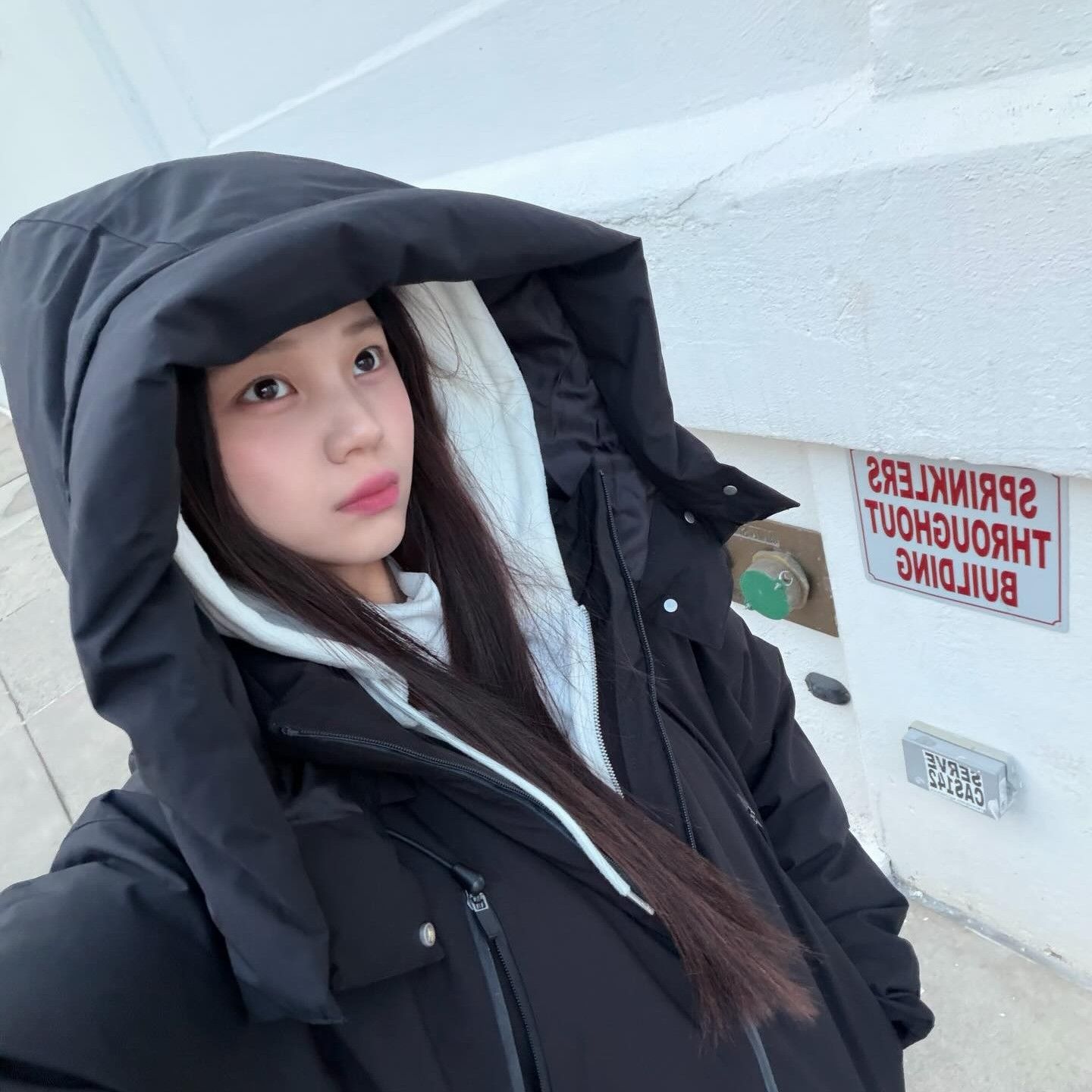 Potret di balik layar VIVIZ