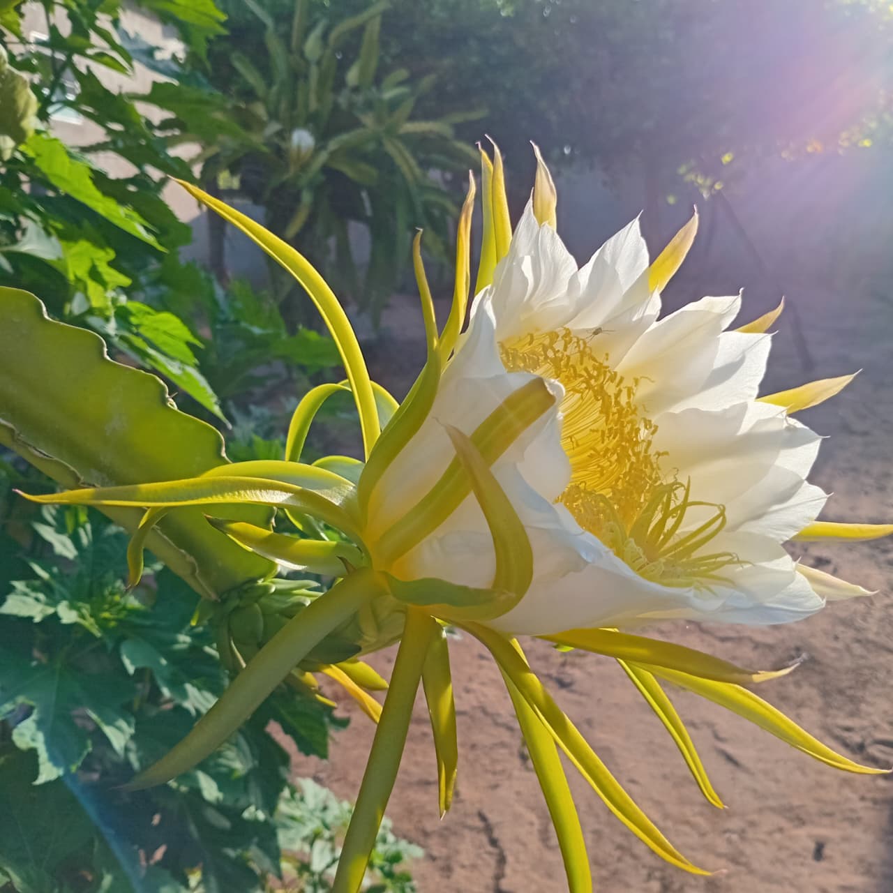 몬스타엑스 팬이 찍은 순간