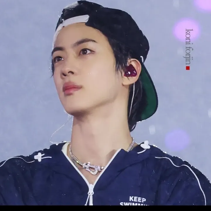 A moment captured by Jin (BTS)'s fan