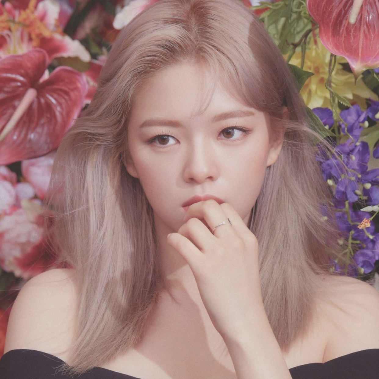 TWICE의 최신 사진