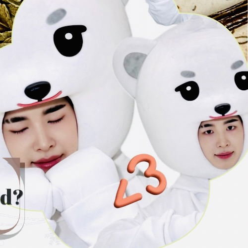 Recent activity shot of Haru (NEXZ)