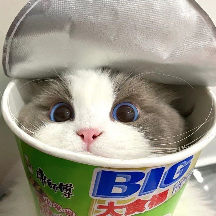 EXO의 최신 사진