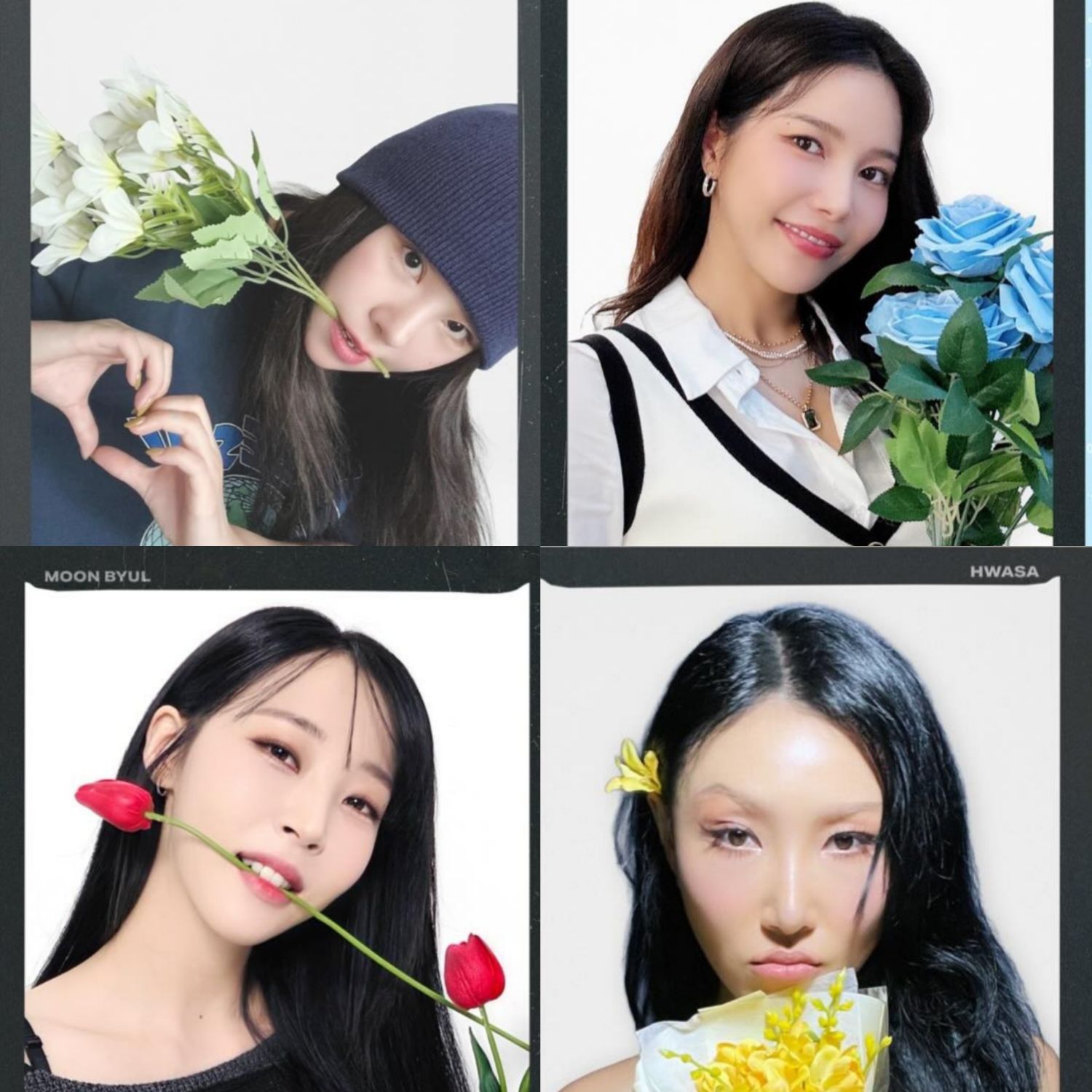 Recent activity shot of MAMAMOO