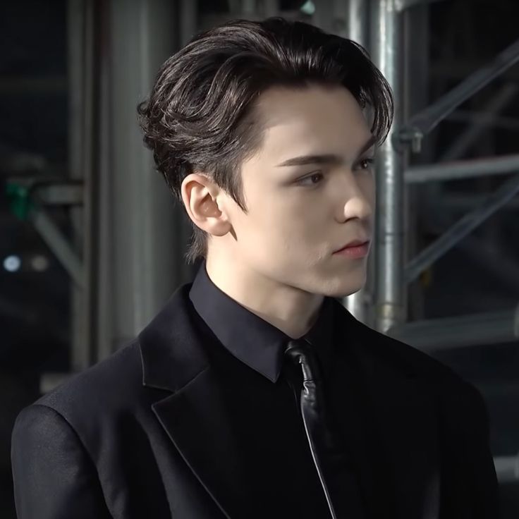 A moment captured by Vernon (SEVENTEEN)'s fan