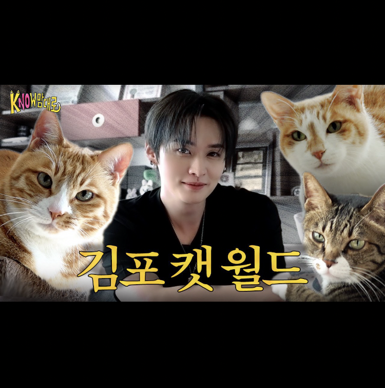 Latest photo of Stray Kids