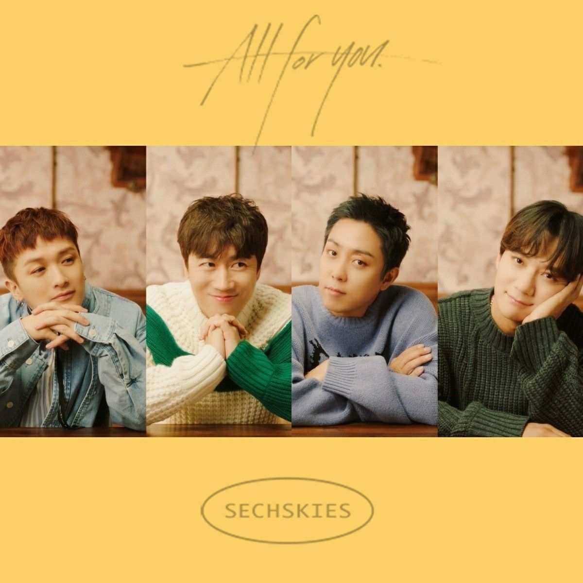 젝스키스 팬이 찍은 순간