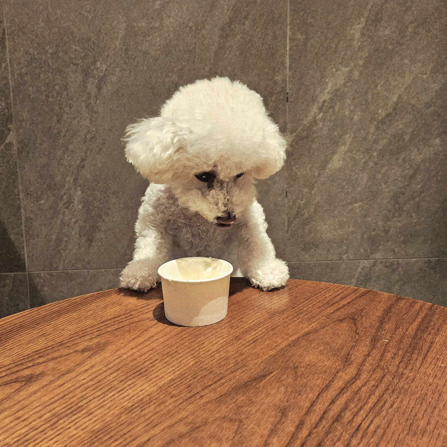 成训 (ENHYPEN)的最新照片